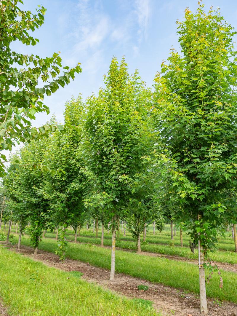 Edycja i zapisywanie zrzutów ekranu