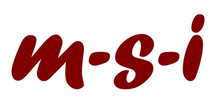 Co kryje się za pojęciem MSI w logistyce? Wyjaśniamy!