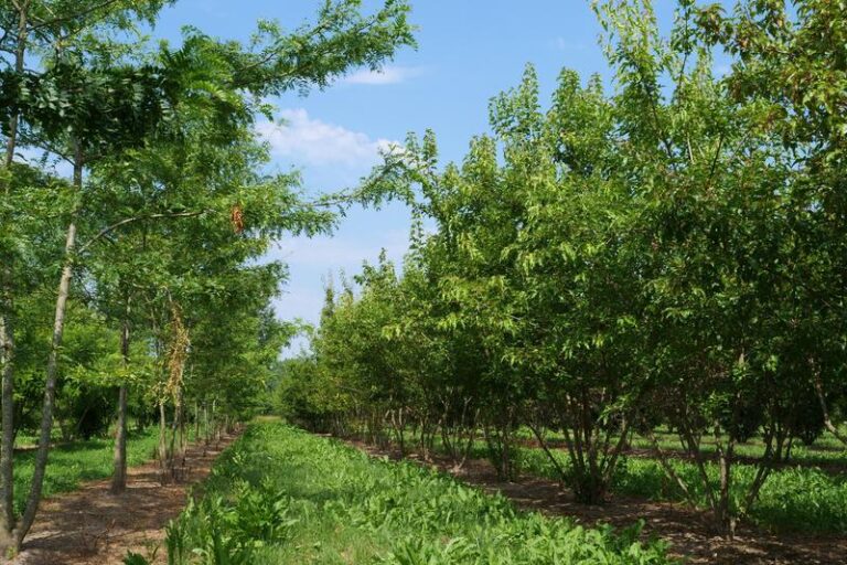 Skuteczne sposoby na to, jak odblokować dysk w laptopie Acer